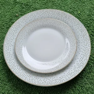 lot de 2 assiettes en porcelaine couleur blanche avec des pointillés dorés